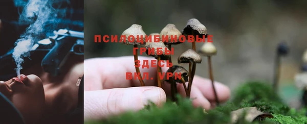марки lsd Абаза